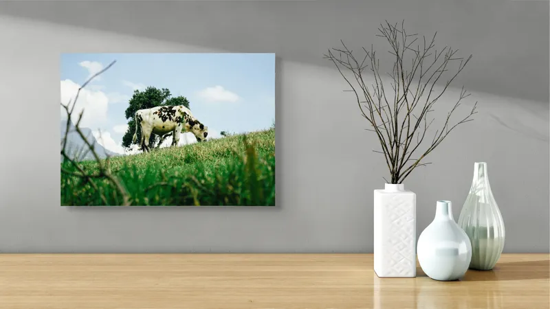 Tablou Canvas, "Vacă pășunând pe dealul verde", Nori, Vaci, Iarbă, Copac, Cer, Peisaj, Natură, Tranquilitate, 54 x 39 cm – poza 3