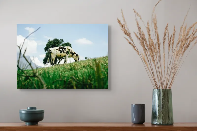 Tablou Canvas, "Vacă pășunând pe dealul verde", Nori, Vaci, Iarbă, Copac, Cer, Peisaj, Natură, Tranquilitate, 54 x 39 cm – poza 4
