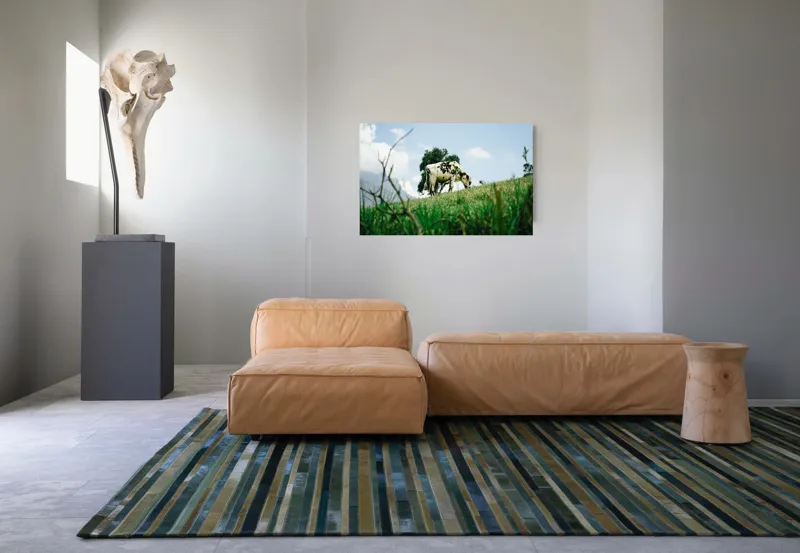 Tablou Canvas, "Vacă pășunând pe dealul verde", Nori, Vaci, Iarbă, Copac, Cer, Peisaj, Natură, Tranquilitate, 90 x 50 cm – poza 8