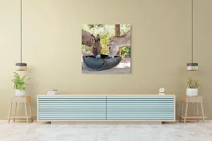 Tablou Canvas, "Măgarii prietenoși savurează masa împreună", 100 x 100 cm – poza 5
