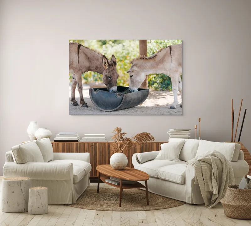 Tablou Canvas, "Măgarii prietenoși savurează masa împreună", 150 x 100 cm – poza 3