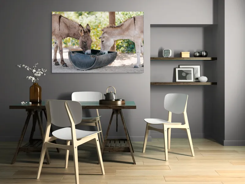 Tablou Canvas, "Măgarii prietenoși savurează masa împreună", 150 x 100 cm – poza 5