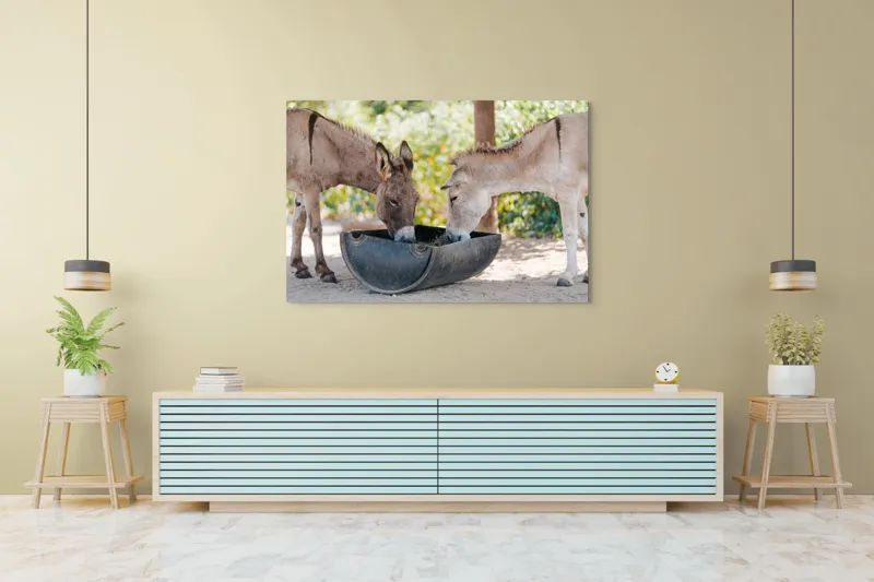 Tablou Canvas, "Măgarii prietenoși savurează masa împreună", 150 x 100 cm – poza 6