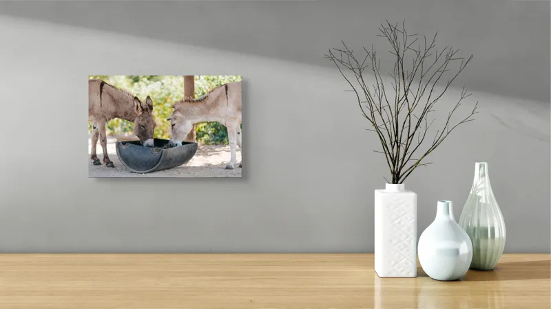 Tablou Canvas, "Măgarii prietenoși savurează masa împreună", Nu știu cine sunt aceste animale., 39 x 26 cm – poza 8