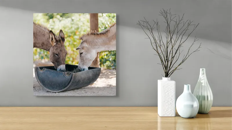 Tablou Canvas, "Măgarii prietenoși savurează masa împreună", Nu știu cine sunt aceste animale., 50 x 50 cm – poza 3