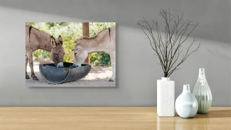 Tablou Canvas, "Măgarii prietenoși savurează masa împreună", Nu știu cine sunt aceste animale., 54 x 39 cm – poza 3