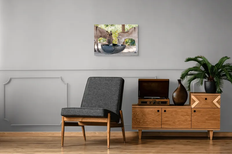 Tablou Canvas, "Măgarii prietenoși savurează masa împreună", 70 x 50 cm – poza 4