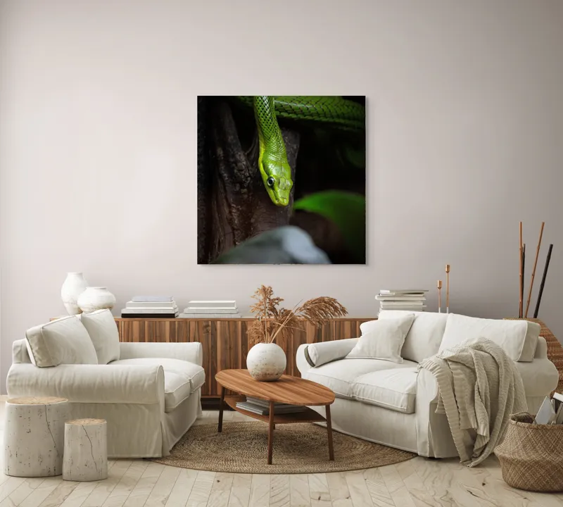 Tablou Canvas, "Șarpele verde în așteptare tăcută", Șarpe, Verde, Privire, Natural, Sinuos, Textură, Frunziș, Misterios, 100 x 100 cm – poza 3