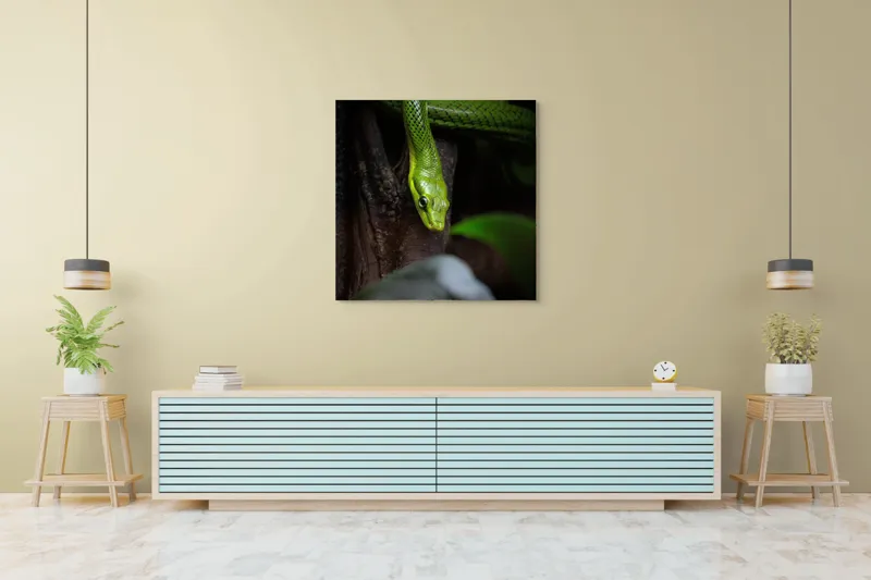 Tablou Canvas, "Șarpele verde în așteptare tăcută", Șarpe, Verde, Privire, Natural, Sinuos, Textură, Frunziș, Misterios, 100 x 100 cm – poza 5