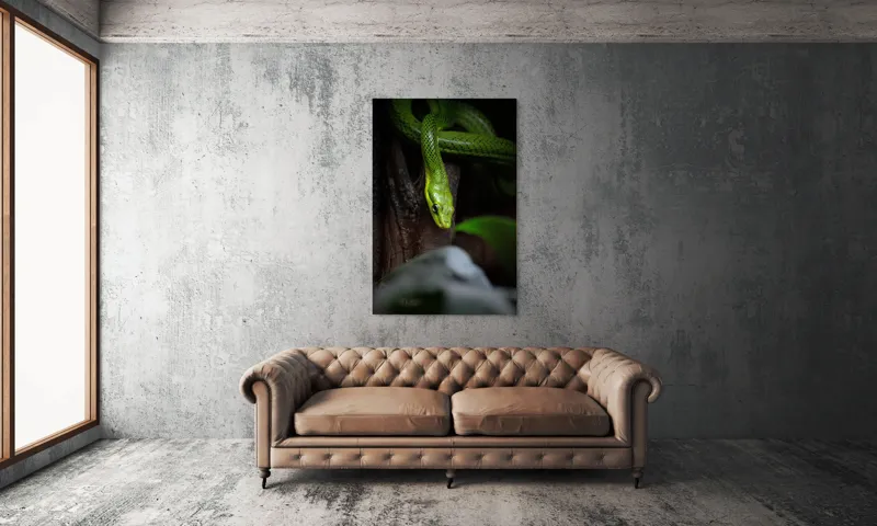 Tablou Canvas, "Șarpele verde în așteptare tăcută", Șarpe, Verde, Privire, Natural, Sinuos, Textură, Frunziș, Misterios, 100 x 150 cm – poza 6