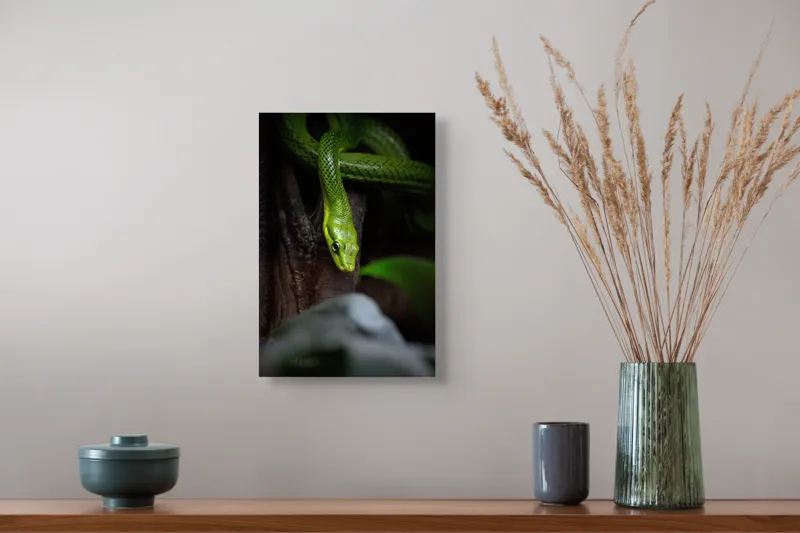 Tablou Canvas, "Șarpele verde în așteptare tăcută", Șarpe, Verde, Privire, Natural, Sinuos, Textură, Frunziș, Misterios, 26 x 39 cm – poza 5