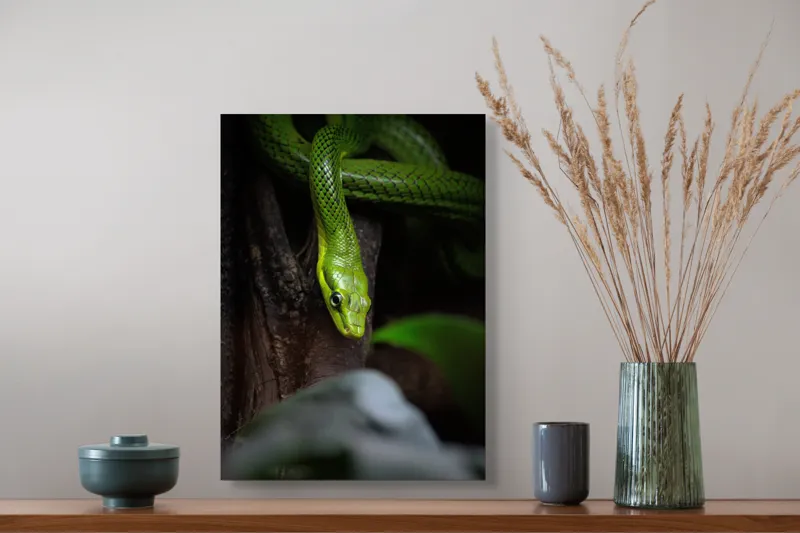 Tablou Canvas, "Șarpele verde în așteptare tăcută", Șarpe, Verde, Privire, Natural, Sinuos, Textură, Frunziș, Misterios, 39 x 54 cm – poza 3