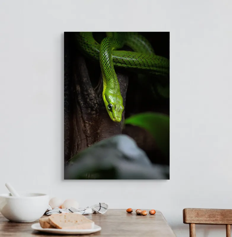 Tablou Canvas, "Șarpele verde în așteptare tăcută", Șarpe, Verde, Privire, Natural, Sinuos, Textură, Frunziș, Misterios, 50 x 70 cm – poza 3