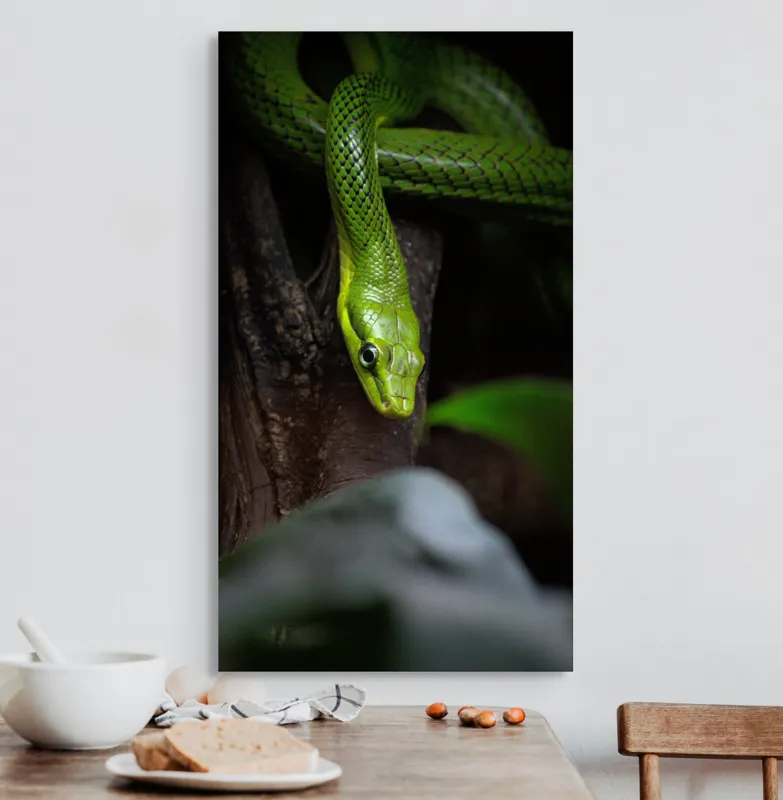 Tablou Canvas, "Șarpele verde în așteptare tăcută", Șarpe, Verde, Privire, Natural, Sinuos, Textură, Frunziș, Misterios, 50 x 90 cm – poza 3