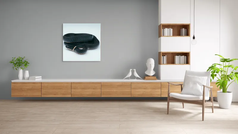 Tablou Canvas, "Șarpele încolăcit pe fundal alb", Șarpe, Negru, Textură, Solzi, Ochii, Elegant, Răsucit, Calm, Fin, Contrast., 100 x 100 cm – poza 8