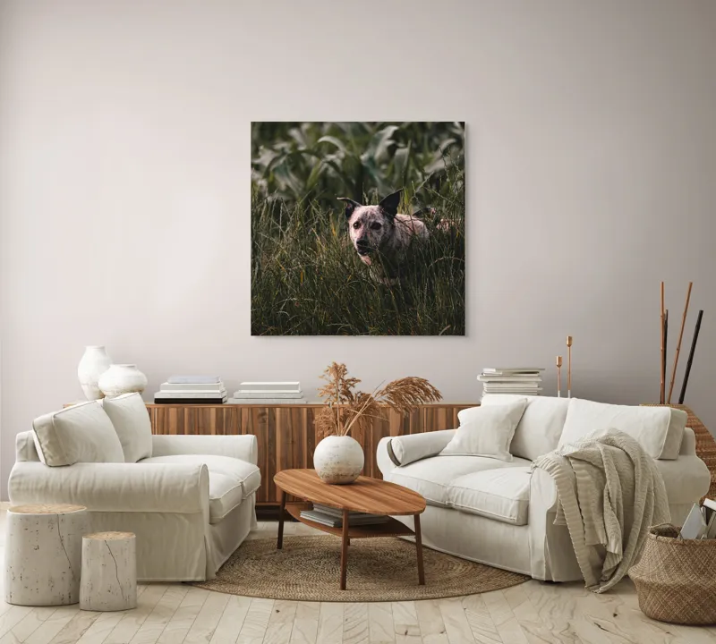 Tablou Canvas, "Câinele explorator printre ierburi verzi", Nu pot să identific detalii despre imaginea aceasta., 100 x 100 cm – poza 3