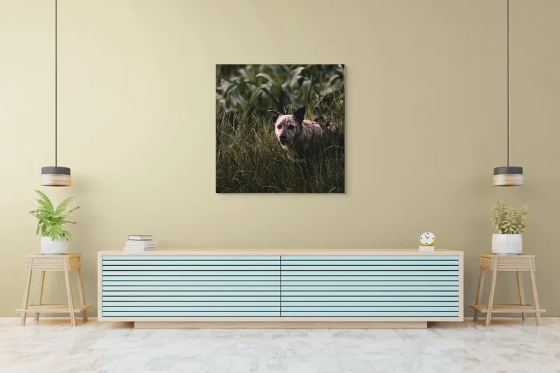 Tablou Canvas, "Câinele explorator printre ierburi verzi", Nu pot să identific detalii despre imaginea aceasta., 100 x 100 cm – poza 5