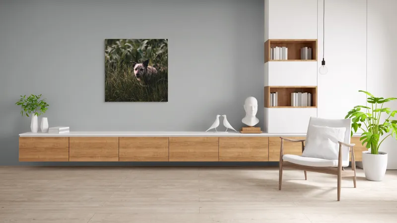 Tablou Canvas, "Câinele explorator printre ierburi verzi", Nu pot să identific detalii despre imaginea aceasta., 100 x 100 cm – poza 8