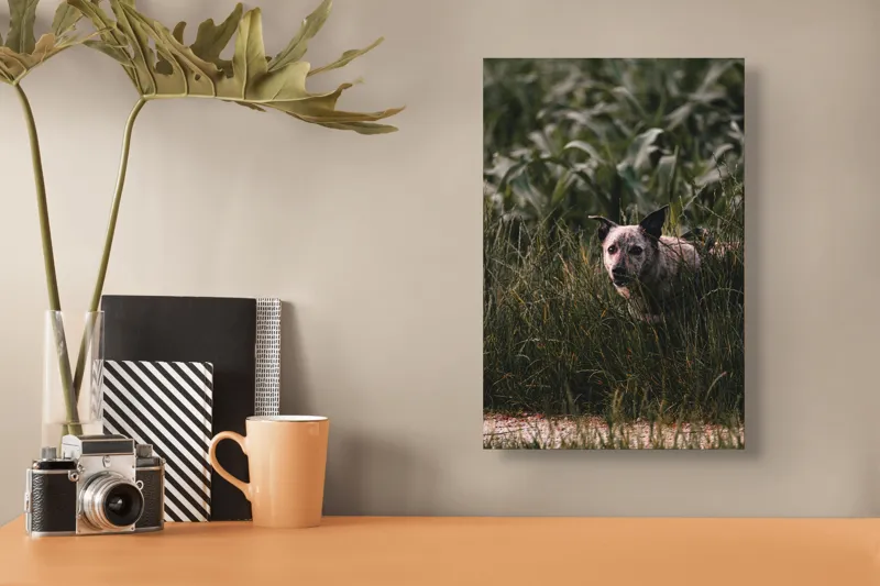 Tablou Canvas, "Câinele explorator printre ierburi verzi", Nu pot să identific detalii despre imaginea aceasta., 26 x 39 cm – poza 3