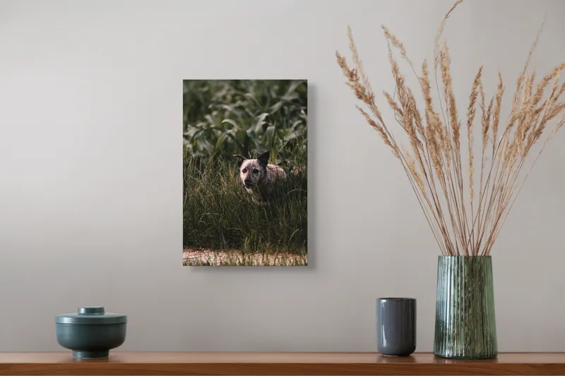Tablou Canvas, "Câinele explorator printre ierburi verzi", Nu pot să identific detalii despre imaginea aceasta., 26 x 39 cm – poza 5