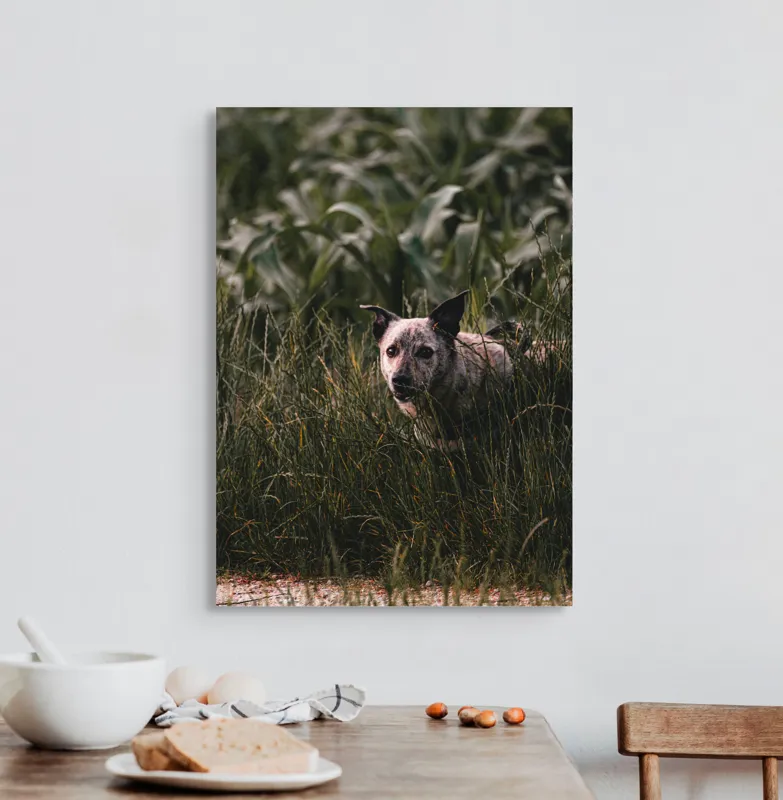 Tablou Canvas, "Câinele explorator printre ierburi verzi", Nu pot să identific detalii despre imaginea aceasta., 50 x 70 cm – poza 3