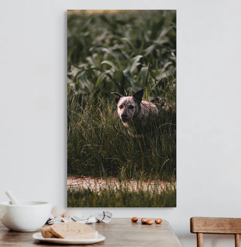 Tablou Canvas, "Câinele explorator printre ierburi verzi", Nu pot să identific detalii despre imaginea aceasta., 50 x 90 cm – poza 3