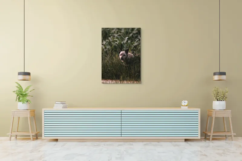Tablou Canvas, "Câinele explorator printre ierburi verzi", Nu pot să identific detalii despre imaginea aceasta., 70 x 100 cm – poza 5
