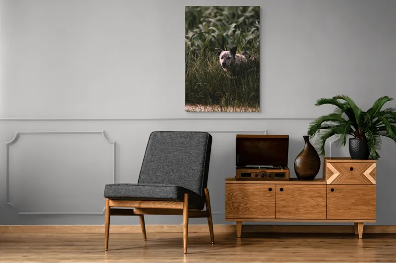 Tablou Canvas, "Câinele explorator printre ierburi verzi", Nu pot să identific detalii despre imaginea aceasta., 70 x 100 cm – poza 6