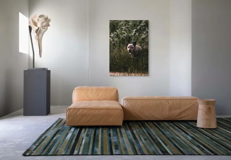 Tablou Canvas, "Câinele explorator printre ierburi verzi", Nu pot să identific detalii despre imaginea aceasta., 70 x 100 cm – poza 7