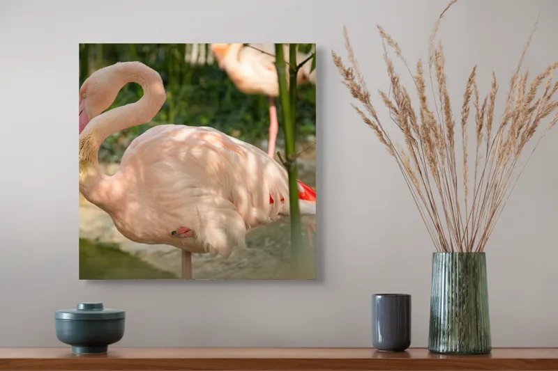 Tablou Canvas, "Flamingo visând între bambuși verzi", Roz, Flamingo, Apă, Bambus, Natură, Peisaj, Grație, Plante, Răgaz, Serenitate, 50 x 50 cm – poza 4