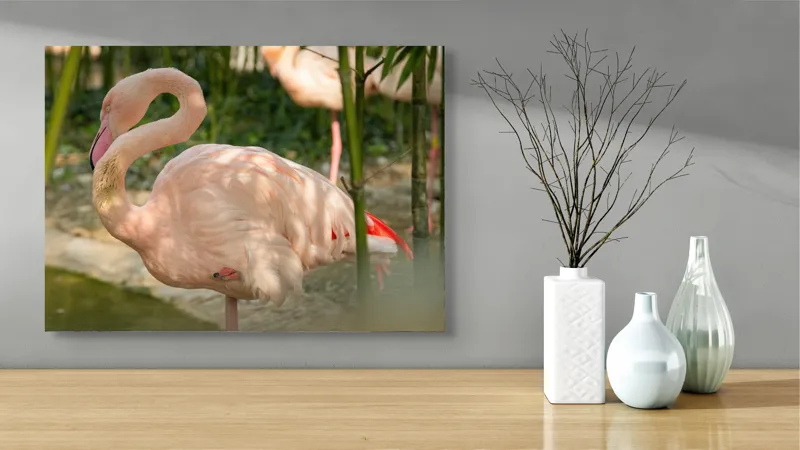 Tablou Canvas, "Flamingo visând între bambuși verzi", Roz, Flamingo, Apă, Bambus, Natură, Peisaj, Grație, Plante, Răgaz, Serenitate, 70 x 50 cm – poza 3