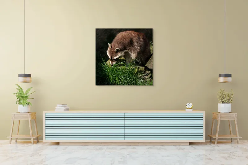 Tablou Canvas, "Mistrețul pădurilor în lumina soarelui", Ratoni, Blană, Iarbă, Umbre, Căutare, Curiozitate, Natură, 100 x 100 cm – poza 5