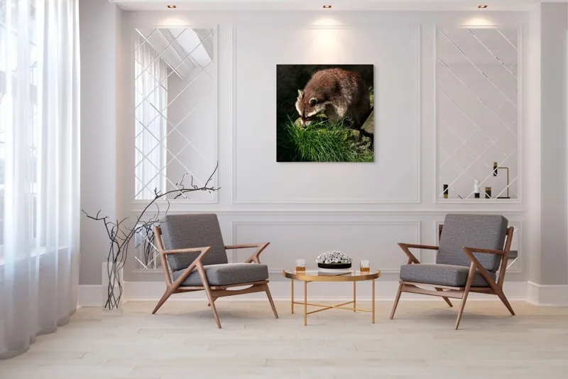 Tablou Canvas, "Mistrețul pădurilor în lumina soarelui", Ratoni, Blană, Iarbă, Umbre, Căutare, Curiozitate, Natură, 100 x 100 cm – poza 7