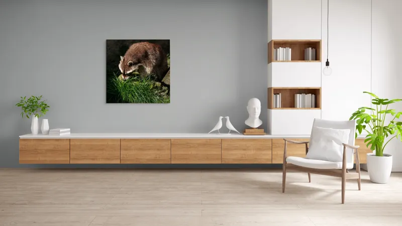 Tablou Canvas, "Mistrețul pădurilor în lumina soarelui", Ratoni, Blană, Iarbă, Umbre, Căutare, Curiozitate, Natură, 100 x 100 cm – poza 8