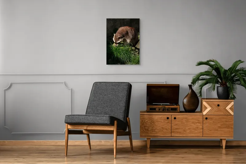 Tablou Canvas, "Mistrețul pădurilor în lumina soarelui", Ratoni, Blană, Iarbă, Umbre, Căutare, Curiozitate, Natură, 50 x 70 cm – poza 8