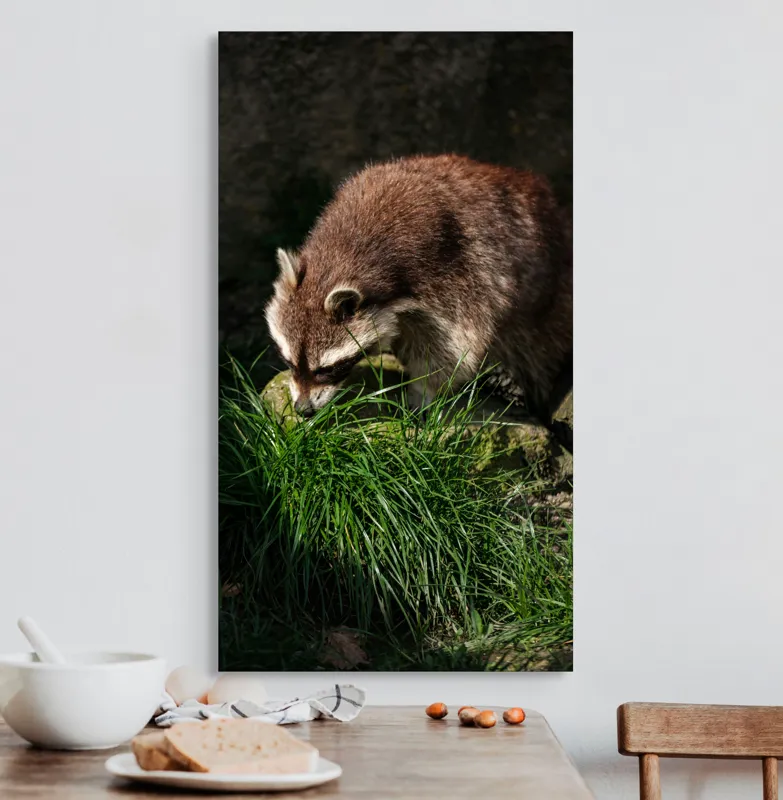 Tablou Canvas, "Mistrețul pădurilor în lumina soarelui", Ratoni, Blană, Iarbă, Umbre, Căutare, Curiozitate, Natură, 50 x 90 cm – poza 3