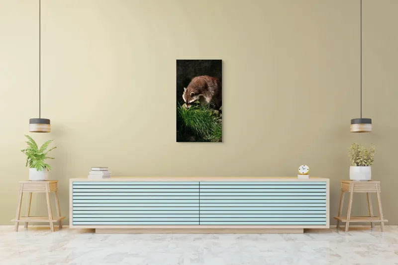 Tablou Canvas, "Mistrețul pădurilor în lumina soarelui", Ratoni, Blană, Iarbă, Umbre, Căutare, Curiozitate, Natură, 50 x 90 cm – poza 6