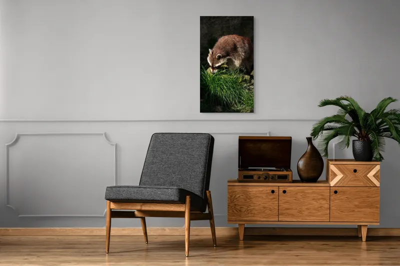 Tablou Canvas, "Mistrețul pădurilor în lumina soarelui", Ratoni, Blană, Iarbă, Umbre, Căutare, Curiozitate, Natură, 50 x 90 cm – poza 8