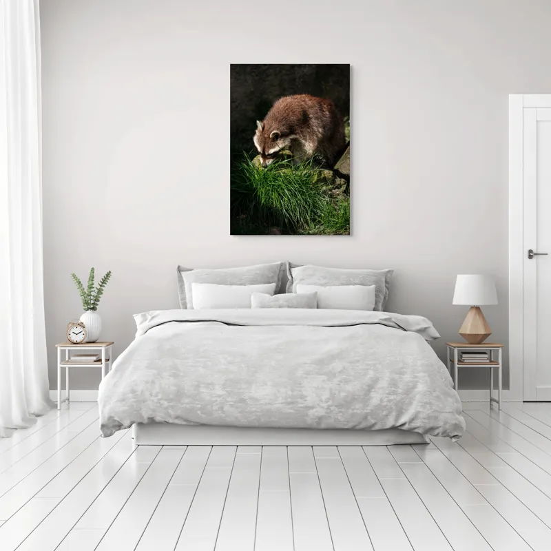 Tablou Canvas, "Mistrețul pădurilor în lumina soarelui", Ratoni, Blană, Iarbă, Umbre, Căutare, Curiozitate, Natură, 70 x 100 cm – poza 3