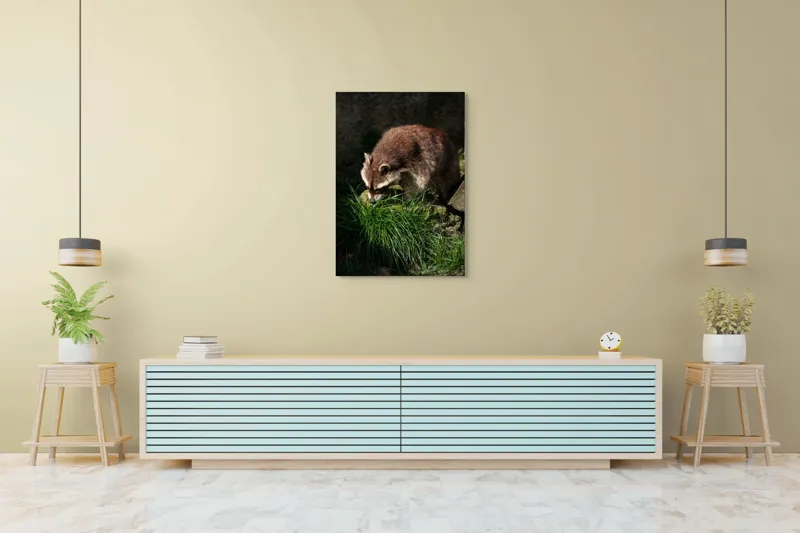 Tablou Canvas, "Mistrețul pădurilor în lumina soarelui", Ratoni, Blană, Iarbă, Umbre, Căutare, Curiozitate, Natură, 70 x 100 cm – poza 5