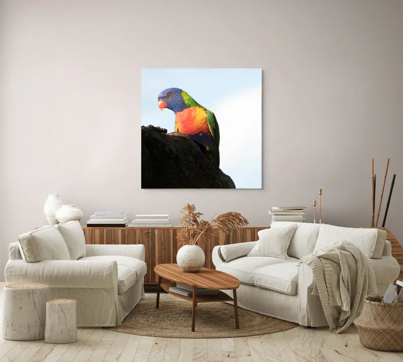 Tablou Canvas, "Papagalul curcubeu pe stâncă neagră", Colorat, Viu, Păsăre, Curcubeu, Natură, Exuberantă, Exotică, Fascinantă, 100 x 100 cm – poza 3