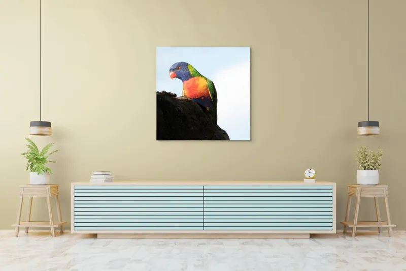 Tablou Canvas, "Papagalul curcubeu pe stâncă neagră", Colorat, Viu, Păsăre, Curcubeu, Natură, Exuberantă, Exotică, Fascinantă, 100 x 100 cm – poza 5