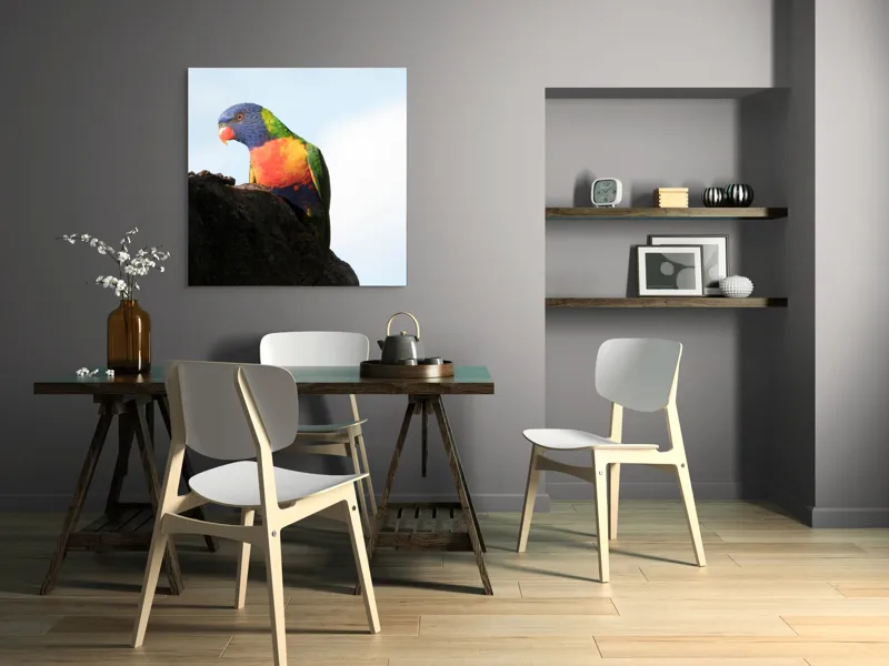 Tablou Canvas, "Papagalul curcubeu pe stâncă neagră", Colorat, Viu, Păsăre, Curcubeu, Natură, Exuberantă, Exotică, Fascinantă, 100 x 100 cm – poza 6