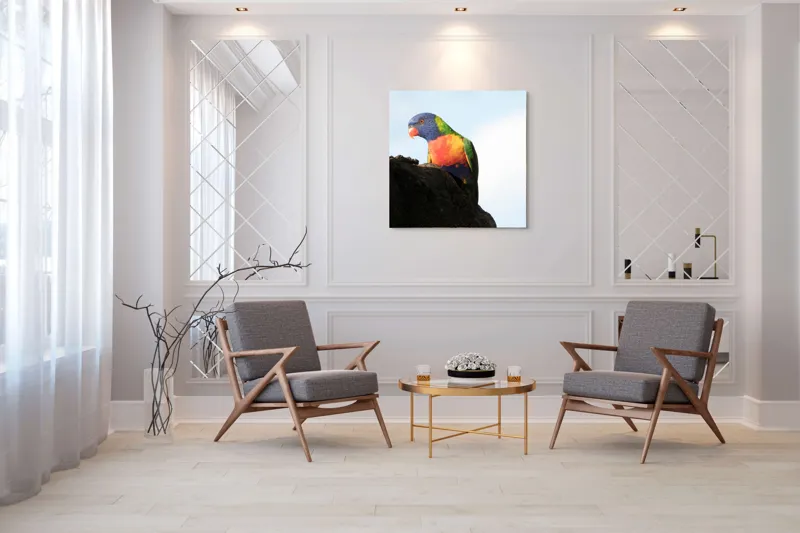 Tablou Canvas, "Papagalul curcubeu pe stâncă neagră", Colorat, Viu, Păsăre, Curcubeu, Natură, Exuberantă, Exotică, Fascinantă, 100 x 100 cm – poza 7