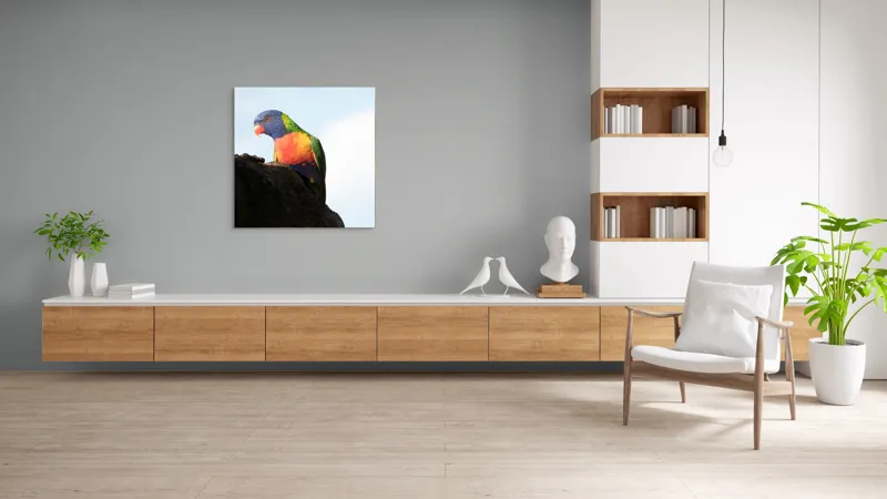 Tablou Canvas, "Papagalul curcubeu pe stâncă neagră", Colorat, Viu, Păsăre, Curcubeu, Natură, Exuberantă, Exotică, Fascinantă, 100 x 100 cm – poza 8