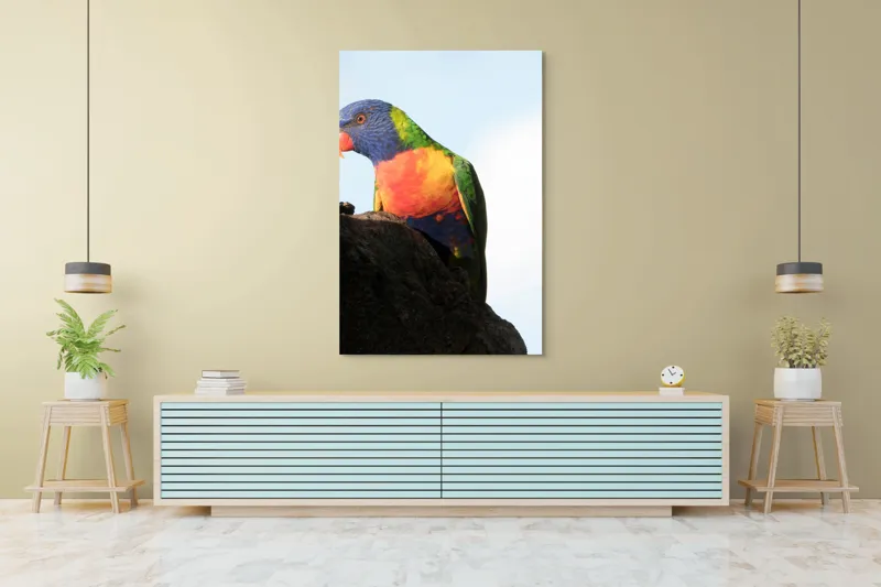 Tablou Canvas, "Papagalul curcubeu pe stâncă neagră", Colorat, Viu, Păsăre, Curcubeu, Natură, Exuberantă, Exotică, Fascinantă, 100 x 150 cm – poza 4
