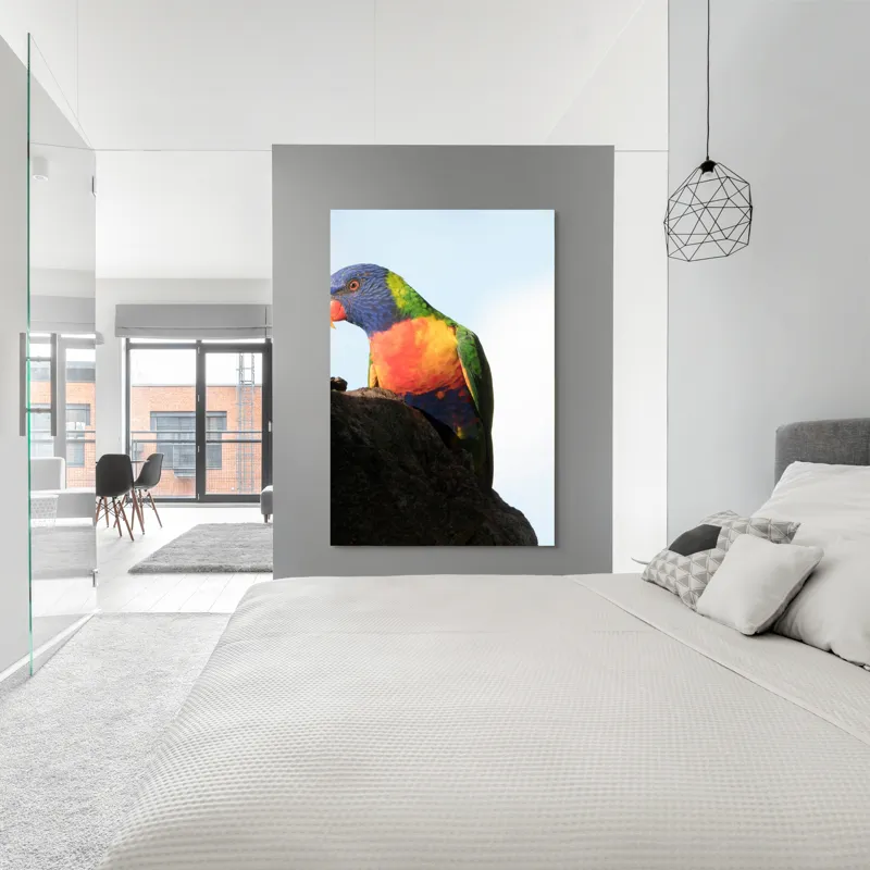 Tablou Canvas, "Papagalul curcubeu pe stâncă neagră", Colorat, Viu, Păsăre, Curcubeu, Natură, Exuberantă, Exotică, Fascinantă, 100 x 150 cm – poza 5