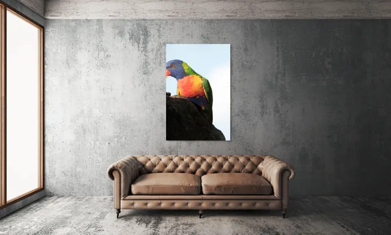 Tablou Canvas, "Papagalul curcubeu pe stâncă neagră", Colorat, Viu, Păsăre, Curcubeu, Natură, Exuberantă, Exotică, Fascinantă, 100 x 150 cm – poza 6