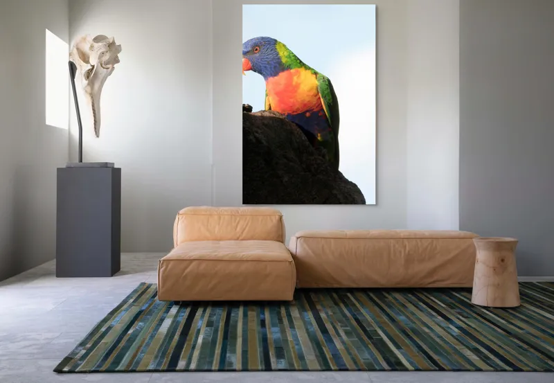 Tablou Canvas, "Papagalul curcubeu pe stâncă neagră", Colorat, Viu, Păsăre, Curcubeu, Natură, Exuberantă, Exotică, Fascinantă, 100 x 150 cm – poza 7