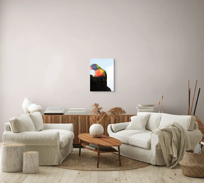 Tablou Canvas, "Papagalul curcubeu pe stâncă neagră", Colorat, Viu, Păsăre, Curcubeu, Natură, Exuberantă, Exotică, Fascinantă, 39 x 54 cm – poza 5
